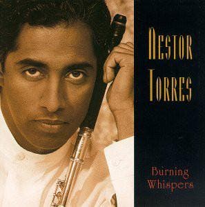 cd - Nestor Torres - Burning Whispers, Verzenden, Zo goed als nieuw