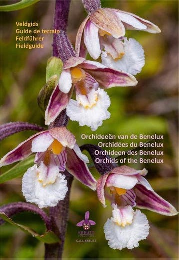 9789083141107 Orchideeen van de Benelux C.A.J. Kreutz, Verzenden, Nieuw, C.A.J. Kreutz