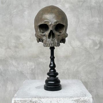 Beeld, NO RESERVE PRICE - Stunning human skull no jaw statue