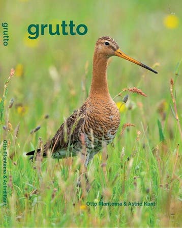 9789464069624 Grutto | Tweedehands, Boeken, Verzenden, Zo goed als nieuw, Otto Plantema