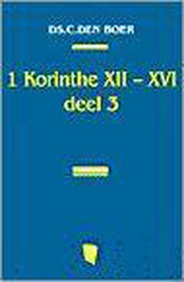 EEN KORINTHE 3 12-16 EERSTE BRIEF PAULUS - DEN BOER, Boeken, Verzenden, Gelezen, DEN BOER