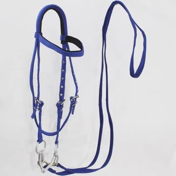 Verstelbaar Paard Halster met Longeerlijn Set - Nylon, 2.5m, Verzenden, Nieuw