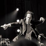 Roberto Cavalli (1971) - Nick Cave, Straight to you / #514 -