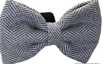 Strik voor aan halsband Tweed Zand (Hond, Halsband Set), Ophalen of Verzenden, Handgemaakt, Nieuw