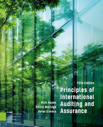 Principles of International Auditing and Assur 9789048564156, Verzenden, Zo goed als nieuw