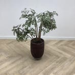 Stenen plantenbak met kunstplant,  108 cm, Huis en Inrichting, Kamerplanten, Ophalen of Verzenden