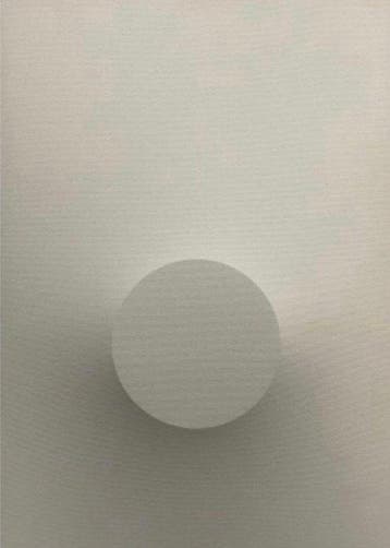 Alessandro Alteo (1997) - Monocromo Bianco - 673