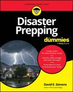 9781394388745 Disaster Prepping For Dummies, Boeken, Verzenden, Nieuw, David E. Stevens