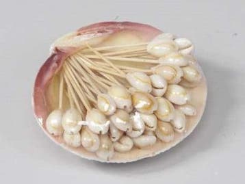 Tigrina Annulus Cook Schelpen op stokje 50 stuks, Hobby en Vrije tijd, Ophalen of Verzenden, Nieuw