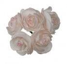 Ranonkels foam Creme Roze 6 cm doos 30 stuks, Ophalen of Verzenden, Nieuw