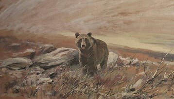Wilhelm Lorenz (1901-1981) - Beer int wild, Antiek en Kunst