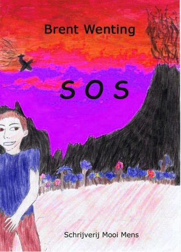 Sos - B. Wenting 9789080547667, Boeken, Kinderboeken | Jeugd | 10 tot 12 jaar, Verzenden, Gelezen, B. Wenting