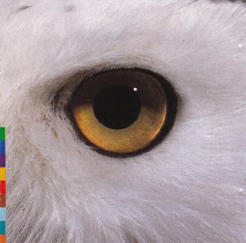 cd - Mari Boine - Gula Gula, Verzenden, Zo goed als nieuw