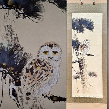 Shunkei  - Uil op dennenboom - Met de hand beschilderde