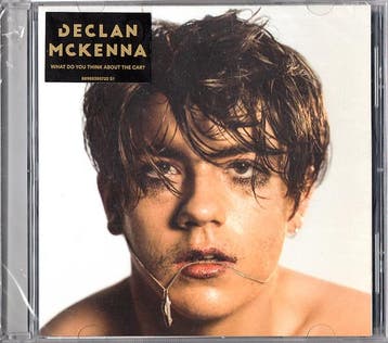 cd - Declan McKenna - What Do You Think About The Car?, Verzenden, Zo goed als nieuw