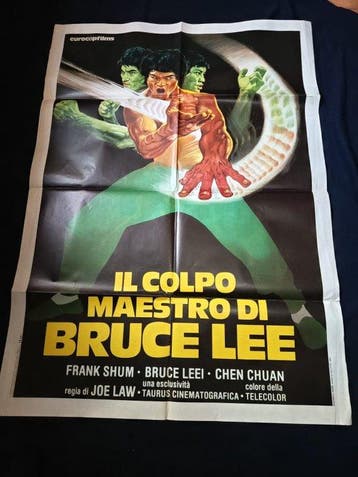 Ivo Fantini - Il colpo maestro di Bruce Lee,
