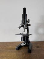 Monocular compound microscope - Nr.434799 - 1940-1950 -