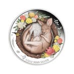 1/2 oz zilveren Kangaroo | Dreaming Down Under | Box & CoA, Verzenden