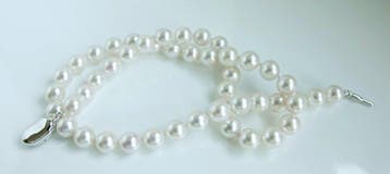 Halsketting Zilver Parel - Akoya Parel Rond 8-8,5 mm, Nieuw