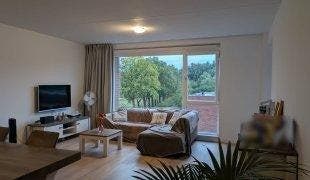 Te huur: Appartement Meergras in Eindhoven, Noord-Brabant, Eindhoven, Appartement