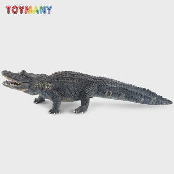Realistische Alligator Speelfiguur - Wildlife Model voor Kin