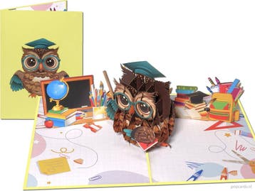 Geslaagd! Afgestudeerd! Wijze Uil Diploma Felicitatie pop..., Verzenden, Nieuw