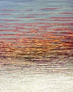 Jorge Omeñaca (1981) - Blurred sea