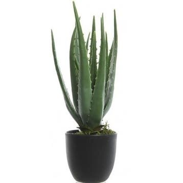 Groene aloe vera kunstplant 35 cm in zwarte pot - Overige .., Verzenden