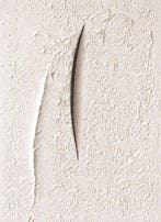 Alessandro Alteo (1997) - Monocromo Bianco - 622 (No