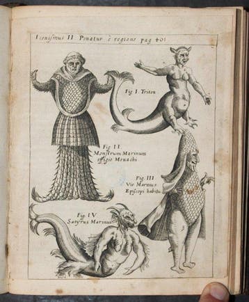 P. Gasparis Schotti - Occulta, Physica curiosa, sive