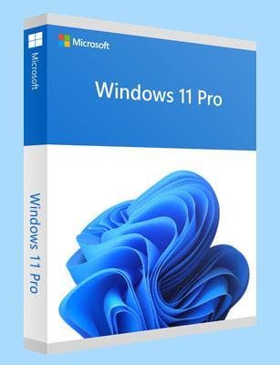 Windows 11 Professional – Directe levering, Verzenden, Nieuw, Windows
