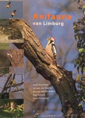 Avifauna van Limburg - F. Hustings 9789074508131, Verzenden, Gelezen, F. Hustings
