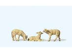 Preiser 47061 3 Lammer 1:25 (Figuren, Scenery, grootspoor), Ophalen of Verzenden, Nieuw
