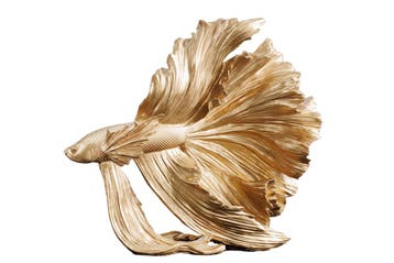 Design decoratief figuur vechtende vis CROWNTAIL 35cm goud, Ophalen of Verzenden, Nieuw