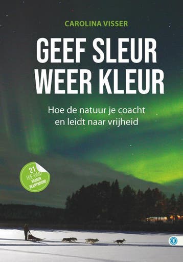 Geef sleur weer kleur / HOE DAN?-serie - Carolina Visser, Verzenden, Zo goed als nieuw, Carolina Visser