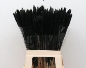 Dried Pampas Fluffy Antraciet 50-70 gr, Huis en Inrichting, Woonaccessoires | Kunstplanten en Kunstbloemen, Ophalen of Verzenden