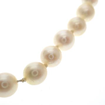 Antieke parelcollier met gouden slot (Ketting), Gebruikt, Ophalen of Verzenden, Met edelsteen, Goud