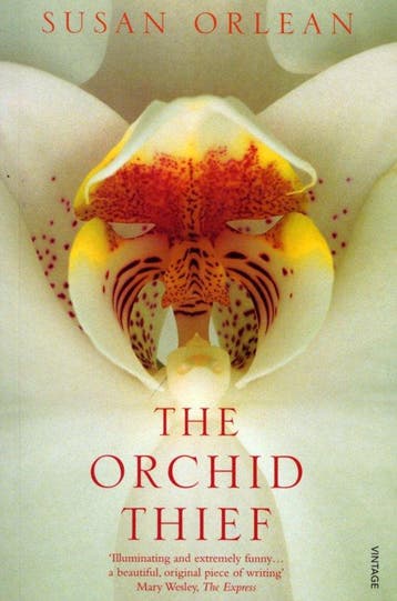 Orchid Thief - Susan Orlean 9780099289586, Verzenden, Zo goed als nieuw, Susan Orlean
