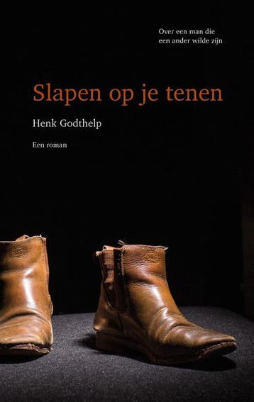 Slapen op je tenen - Henk Godthelp 9789082471403, Verzenden, Gelezen, Henk Godthelp