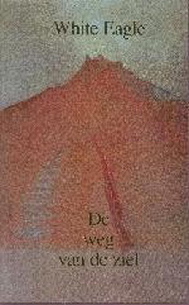 De weg van de ziel / De kosmische mens 9789020220452, Boeken, Esoterie en Spiritualiteit, Gelezen, Verzenden