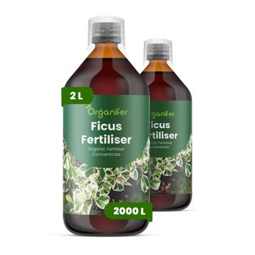 Ficus Vloeibare meststof - 2x1 liter, Verzenden, Mest