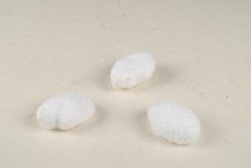 Bolletjes Mos Wit ca. 7 cm, Ophalen of Verzenden, Nieuw