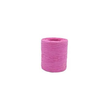 Raffia 5 mm 200 mtr Eco Roze, Hobby en Vrije tijd, Ophalen of Verzenden, Nieuw, Overige typen