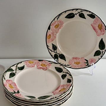 Villeroy & Boch - Bord (6) - Wild-Rose - Vitro-Porzellan -
