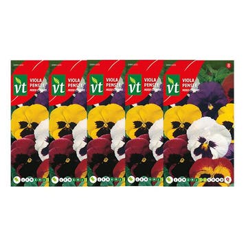 Bloemzaden viooltjes | VT | 5 stuks (Gemengd), Verzenden