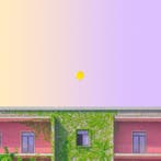 Téber - Opportunity · No Reserve