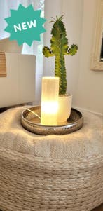 Seleniet cilinder lamp ± 25cm hoog, Ophalen of Verzenden, Nieuw