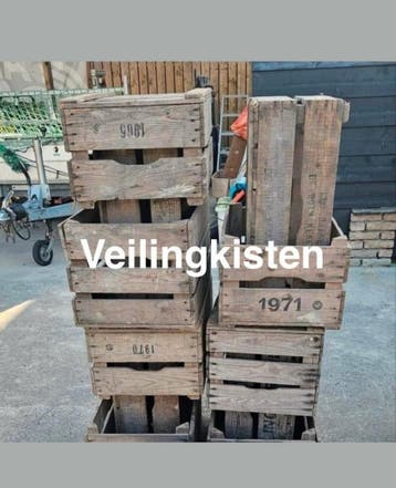 Veilingkisten, decoratiekisten, grote voorraad aanwezig, Ophalen, Gebruikt, 40 tot 60 cm, Minder dan 50 cm