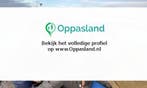 Nanette zoekt een oppas in Loenen aan de Vecht voor 2 kin..., Nieuw