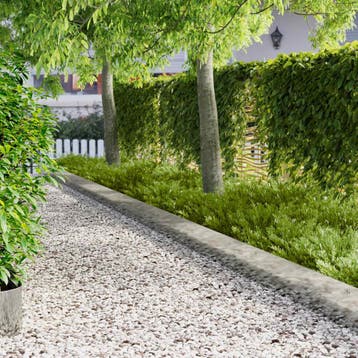 vidaXL Gazonrand 20 st 103 x 25 cm Staal zilver, Verzenden, Nieuw